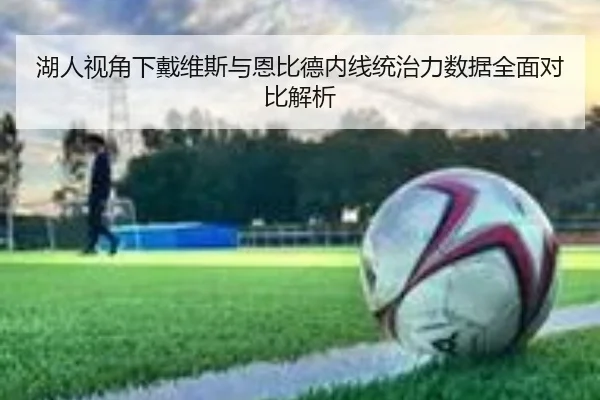 湖人视角下戴维斯与恩比德内线统治力数据全面对比解析